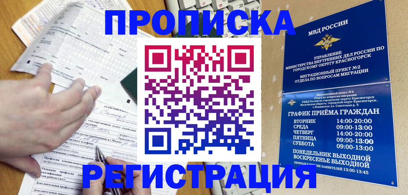 купить прописку в Звенигово